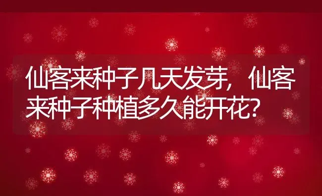 仙客来种子几天发芽,仙客来种子种植多久能开花？ | 养殖常见问题