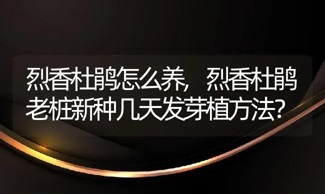 烈香杜鹃怎么养,烈香杜鹃老桩新种几天发芽植方法？ | 养殖常见问题