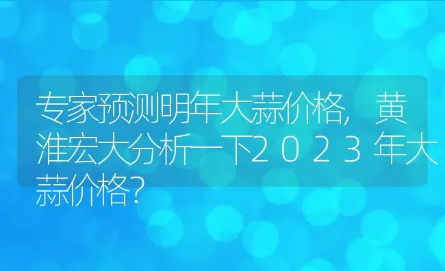 专家预测明年大蒜价格,黄淮宏大分析一下2023年大蒜价格？ | 养殖常见问题