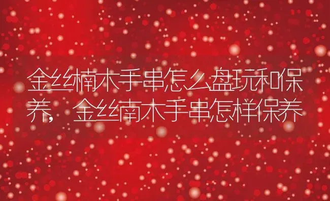 金丝楠木手串怎么盘玩和保养,金丝南木手串怎样保养 | 养殖常见问题