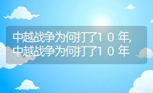 中越战争为何打了10年,中越战争为何打了10年 | 养殖常见问题