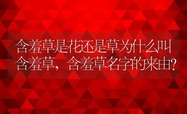 鹅绒藤的功效与作用及食用方法,蒙古扁桃的植物价值？ | 养殖常见问题