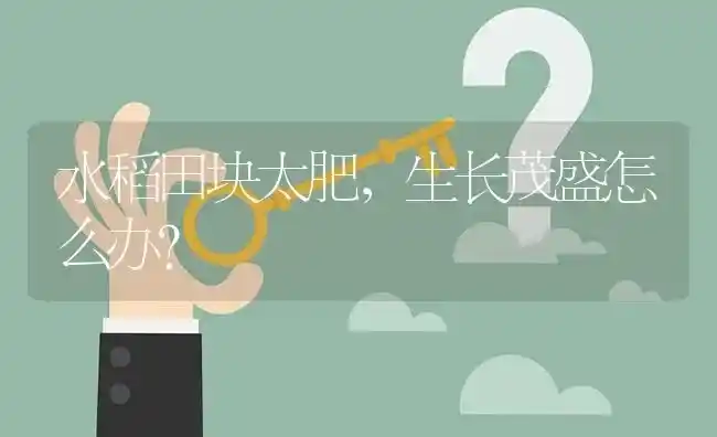 水稻田块太肥,生长茂盛怎么办? | 养殖问题解答