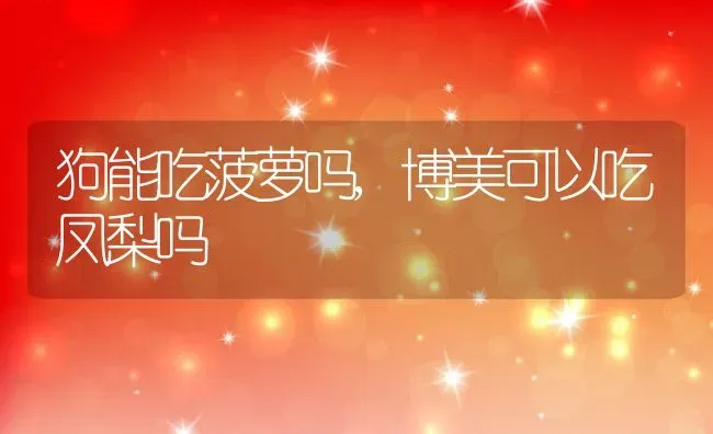 狗能吃菠萝吗,博美可以吃凤梨吗 | 养殖常见问题
