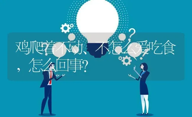 鸡爬着不动、不怎么爱吃食,怎么回事? | 养殖问题解答