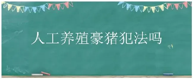 人工养殖豪猪犯法吗 | 三农答疑