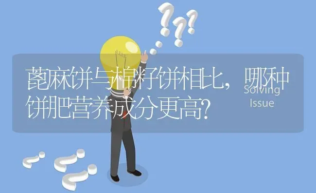 蓖麻饼与棉籽饼相比,哪种饼肥营养成分更高? | 养殖问题解答