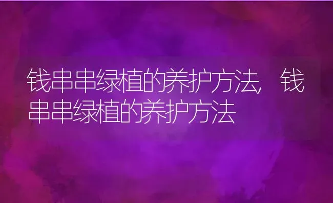 钱串串绿植的养护方法,钱串串绿植的养护方法 | 养殖常见问题