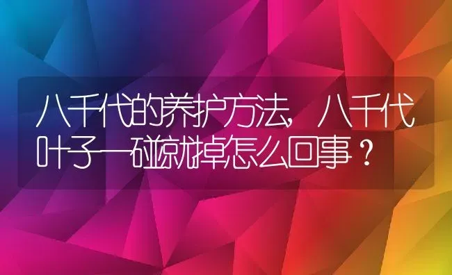 八千代的养护方法,八千代叶子一碰就掉怎么回事？ | 养殖常见问题