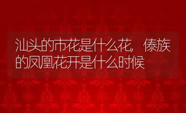 汕头的市花是什么花,傣族的凤凰花开是什么时候 | 养殖常见问题