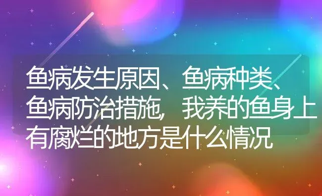 鱼病发生原因、鱼病种类、鱼病防治措施,我养的鱼身上有腐烂的地方是什么情况 | 养殖常见问题