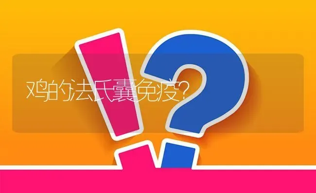 鸡的法氏囊免疫? | 养殖问题解答