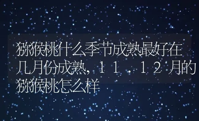 猕猴桃什么季节成熟最好在几月份成熟,11.12月的猕猴桃怎么样 | 养殖常见问题
