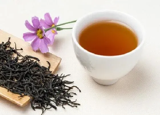 植物常识问题|红茶白茶绿茶有什么区别 三者的四大维度区别详解