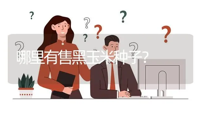 哪里有售黑玉米种子? | 养殖问题解答