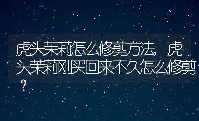 虎头茉莉怎么修剪方法,虎头茉莉刚买回来不久怎么修剪？ | 养殖常见问题