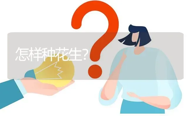 怎样种花生? | 养殖问题解答