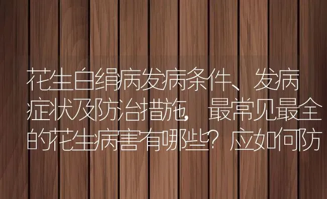 花生白绢病发病条件、发病症状及防治措施,最常见最全的花生病害有哪些？应如何防治 | 养殖常见问题