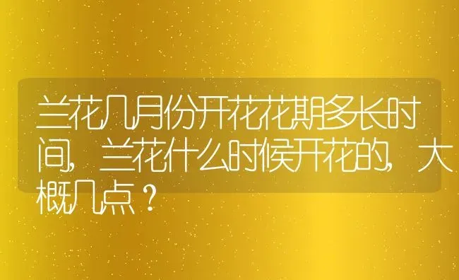 兰花几月份开花花期多长时间,兰花什么时候开花的,大概几点？ | 养殖常见问题