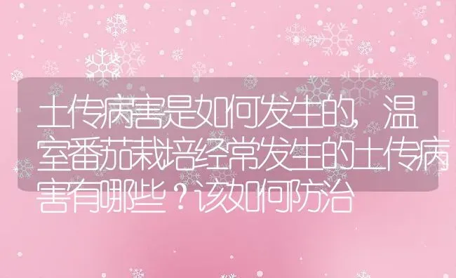 土传病害是如何发生的,温室番茄栽培经常发生的土传病害有哪些？该如何防治 | 养殖常见问题