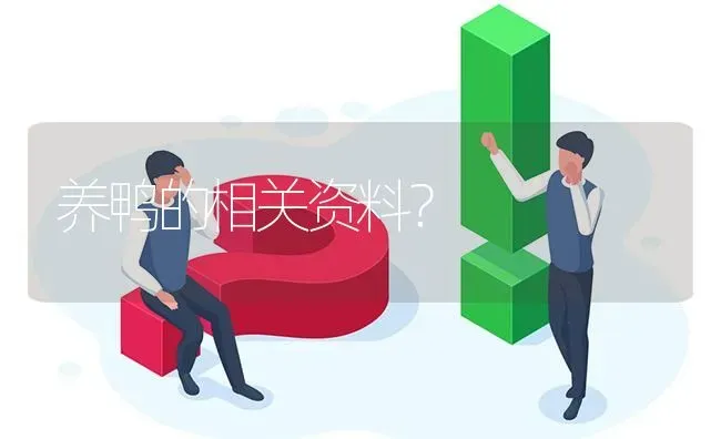 养鸭的相关资料? | 养殖问题解答