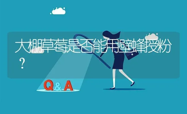 大棚草莓是否能用壁蜂授粉? | 养殖问题解答