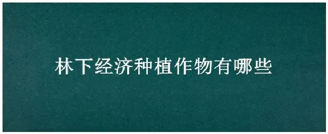 林下经济种植作物有哪些 | 农业问题