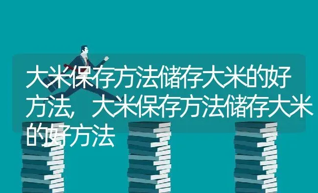 大米保存方法储存大米的好方法,大米保存方法储存大米的好方法 | 养殖常见问题