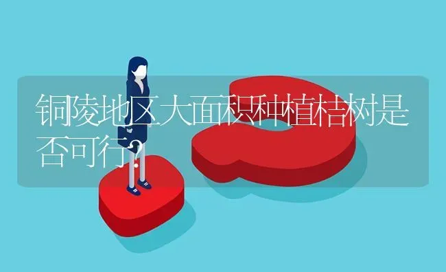 铜陵地区大面积种植桔树是否可行? | 养殖问题解答