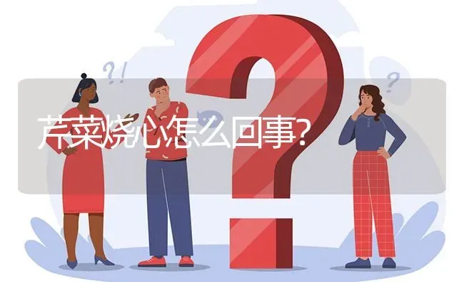 芹菜烧心怎么回事? | 养殖问题解答