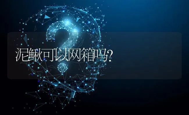 泥鳅可以网箱吗? | 养殖问题解答