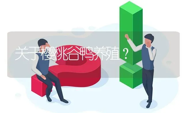 关于樱桃谷鸭养殖? | 养殖问题解答