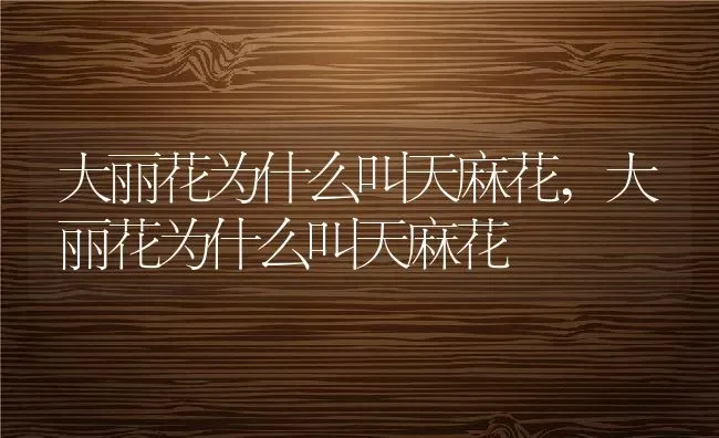 大丽花为什么叫天麻花,大丽花为什么叫天麻花 | 养殖常见问题