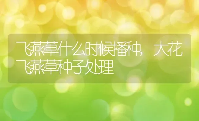 飞燕草什么时候播种,大花飞燕草种子处理 | 养殖常见问题