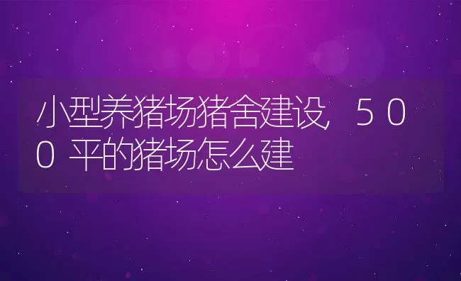 小型养猪场猪舍建设,500平的猪场怎么建 | 养殖常见问题