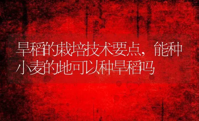 杀虫剂多久毒性能散完,一扫光农药喷地上多久失效 | 养殖常见问题