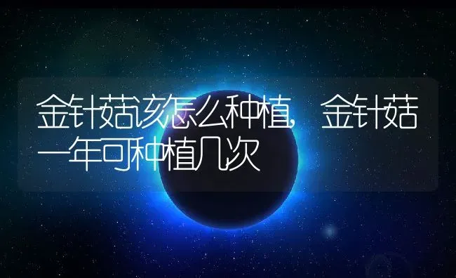金针菇该怎么种植,金针菇一年可种植几次 | 养殖常见问题