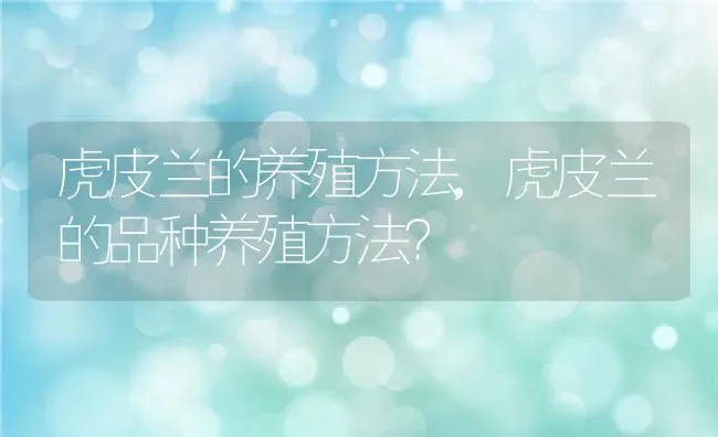 虎皮兰的养殖方法,虎皮兰的品种养殖方法？ | 养殖常见问题