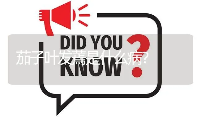 茄子叶发蔫是什么病? | 养殖问题解答