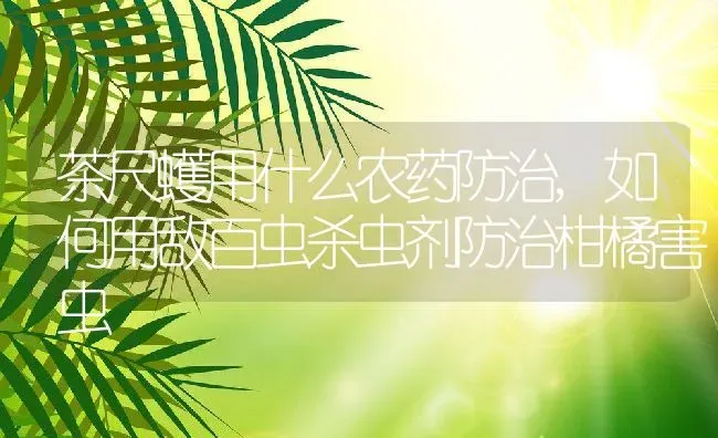 茶尺蠖用什么农药防治,如何用敌百虫杀虫剂防治柑橘害虫 | 养殖常见问题