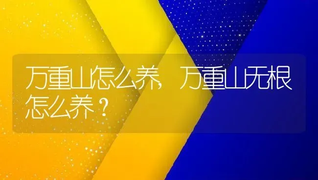 万重山怎么养,万重山无根怎么养？ | 养殖常见问题