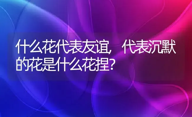 什么花代表友谊,代表沉默的花是什么花捏？ | 养殖常见问题
