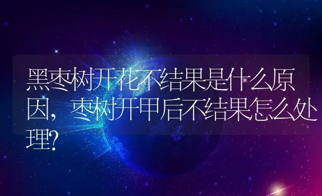 黑枣树开花不结果是什么原因,枣树开甲后不结果怎么处理？ | 养殖常见问题