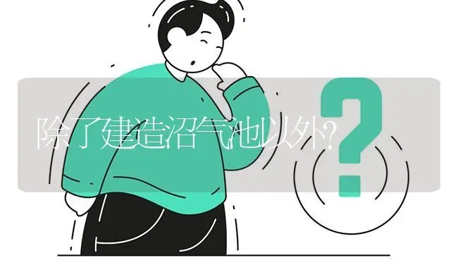 除了建造沼气池以外? | 养殖问题解答
