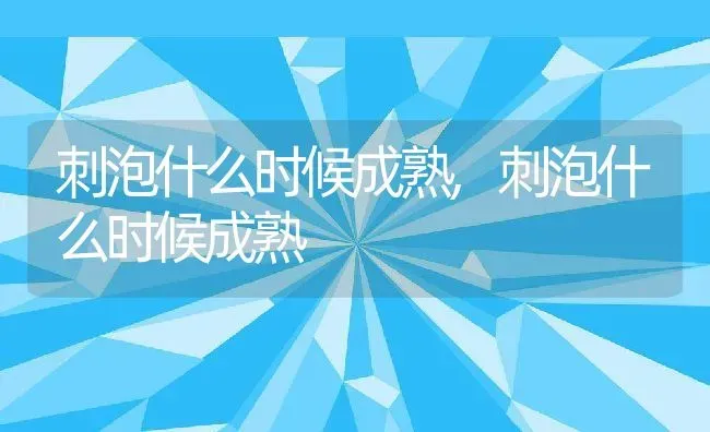 刺泡什么时候成熟,刺泡什么时候成熟 | 养殖常见问题