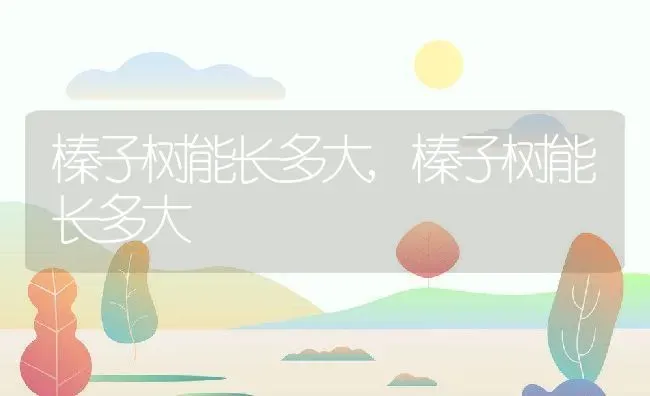 榛子树能长多大,榛子树能长多大 | 养殖常见问题