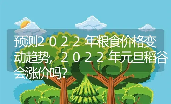 预测2022年粮食价格变动趋势,2022年元旦稻谷会涨价吗？ | 养殖常见问题
