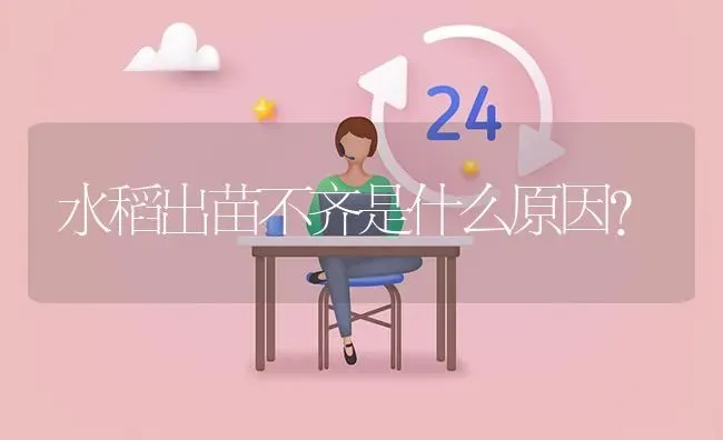 水稻出苗不齐是什么原因? | 养殖问题解答