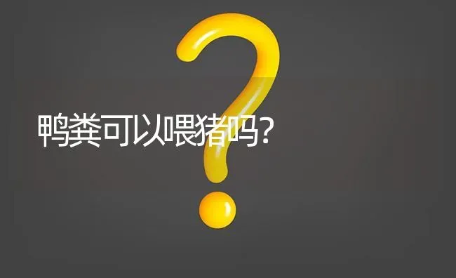 鸭粪可以喂猪吗? | 养殖问题解答