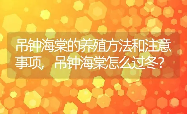 吊钟海棠的养殖方法和注意事项,吊钟海棠怎么过冬？ | 养殖常见问题